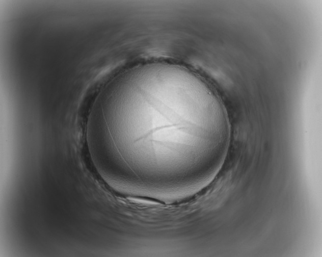 X0000098101303200804111014