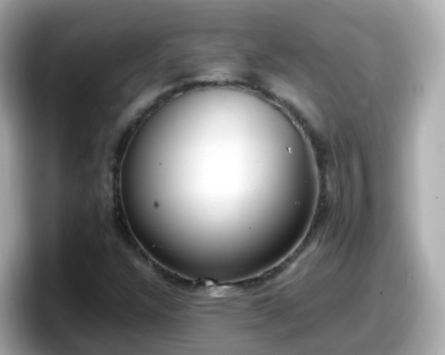 X0000098101304200804111014