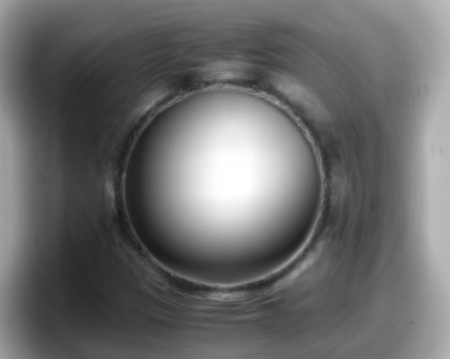 X0000098101305200804111014