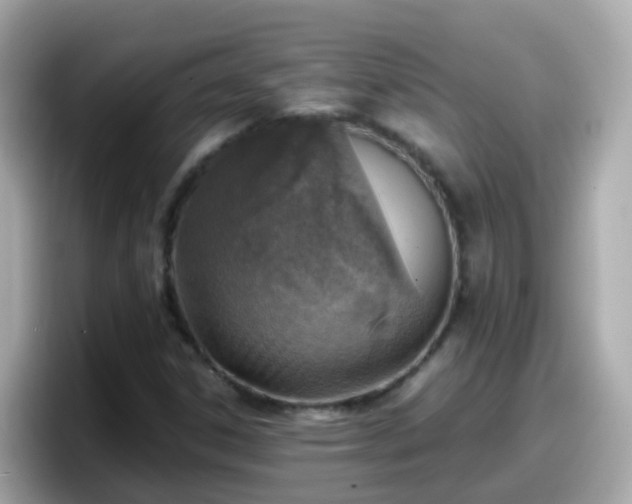 X0000098101306200804111015