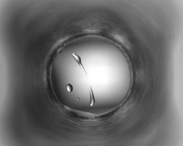 X0000098101307200804111015