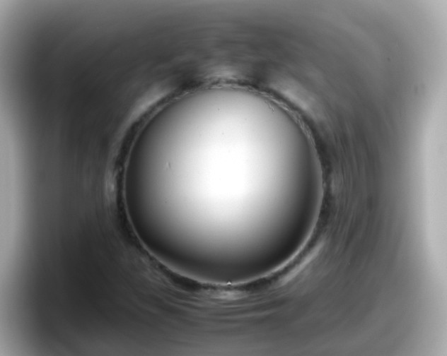 X0000098101309200804111015