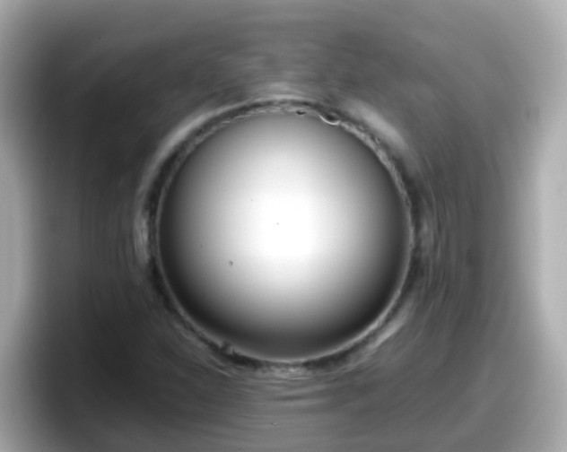 X0000098101310200804111015