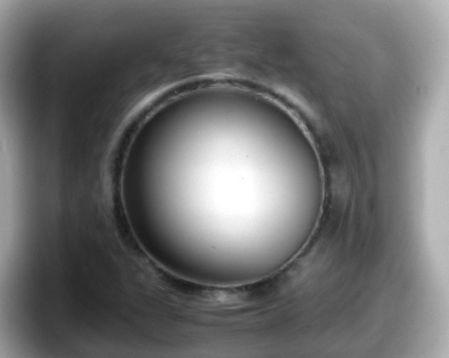 X0000098101311200804111015