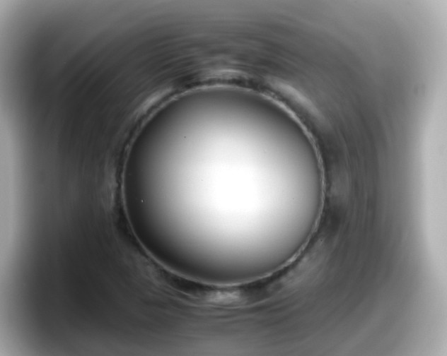 X0000098101313200804111015