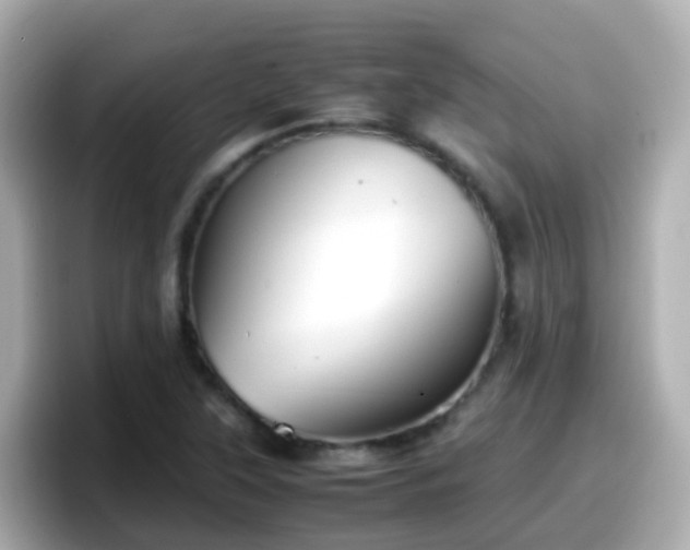 X0000098101315200804111015