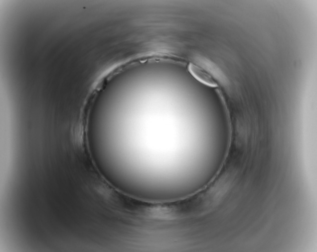 X0000098101316200804111015