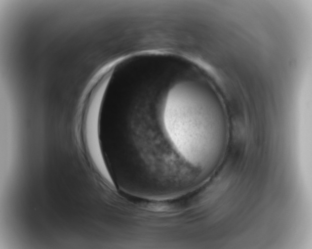 X0000098101319200804111015
