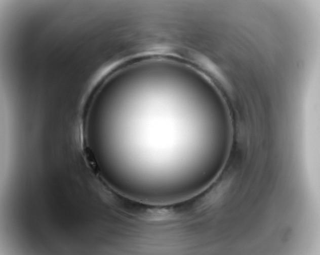 X0000098101320200804111015