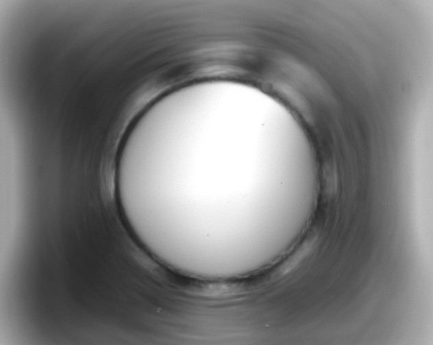X0000098101322200804111015
