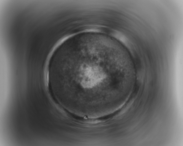X0000098101323200804111015