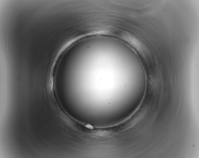X0000098101324200804111015