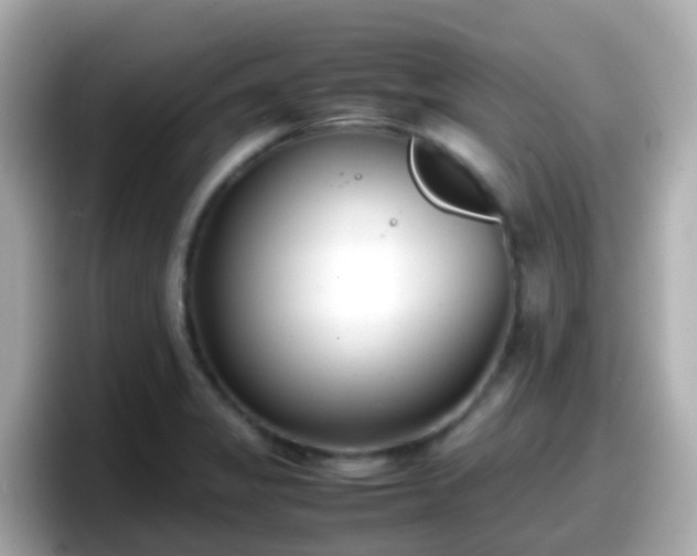 X0000098101325200804111015