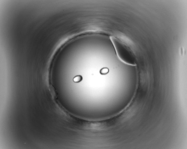 X0000098101326200804111015