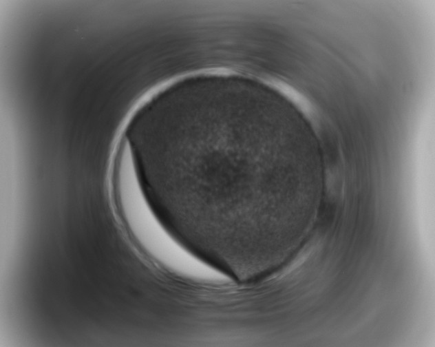 X0000098101327200804111015