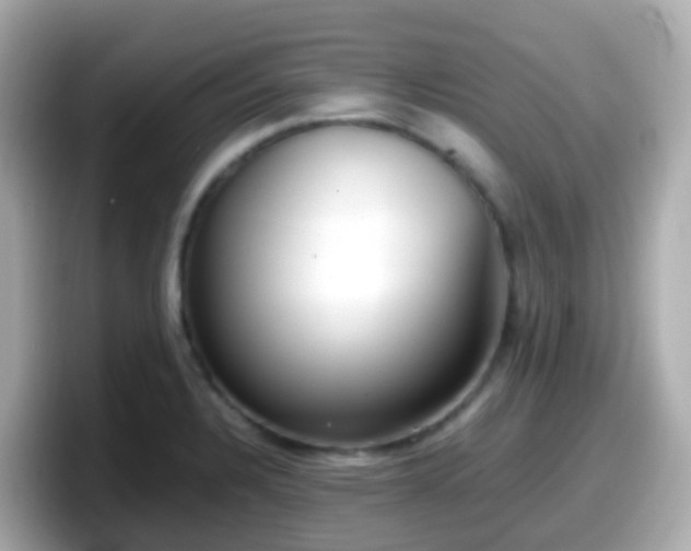 X0000098101328200804111015