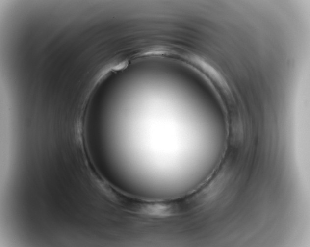 X0000098101329200804111015