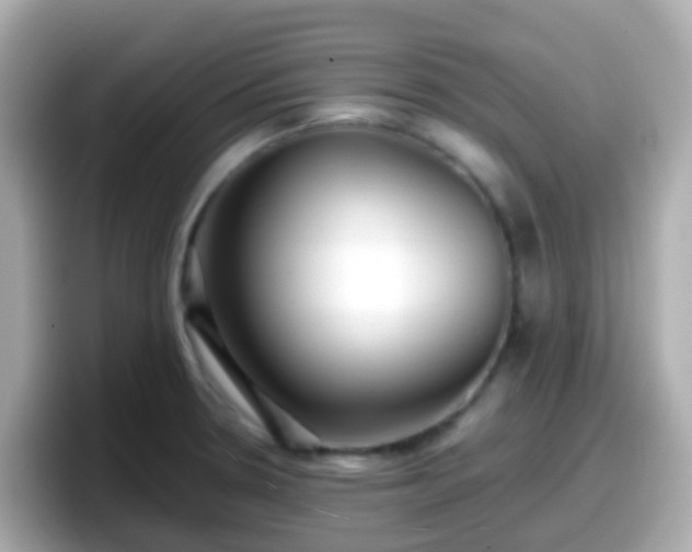 X0000098101330200804111015