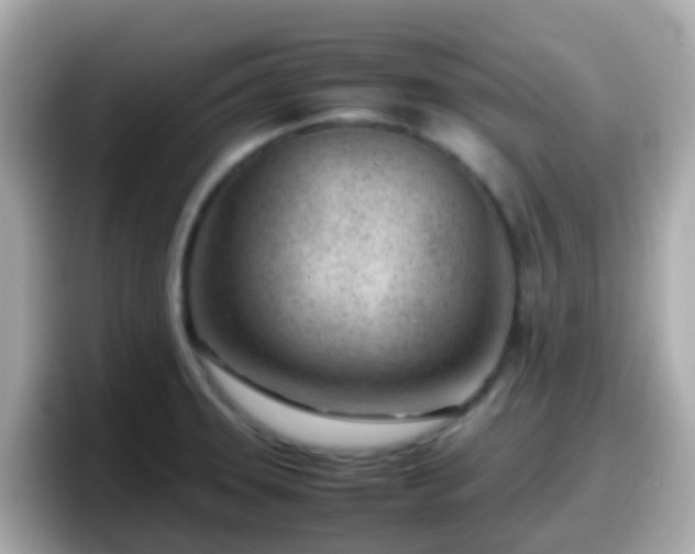 X0000098101331200804111015