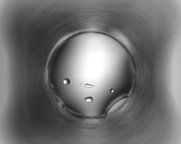 X0000098101332200804111015
