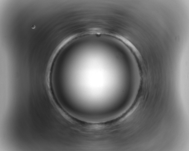 X0000098101333200804111015