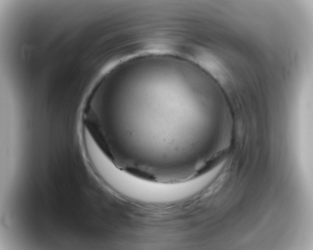 X0000098101334200804111015