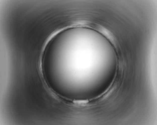 X0000098101336200804111015
