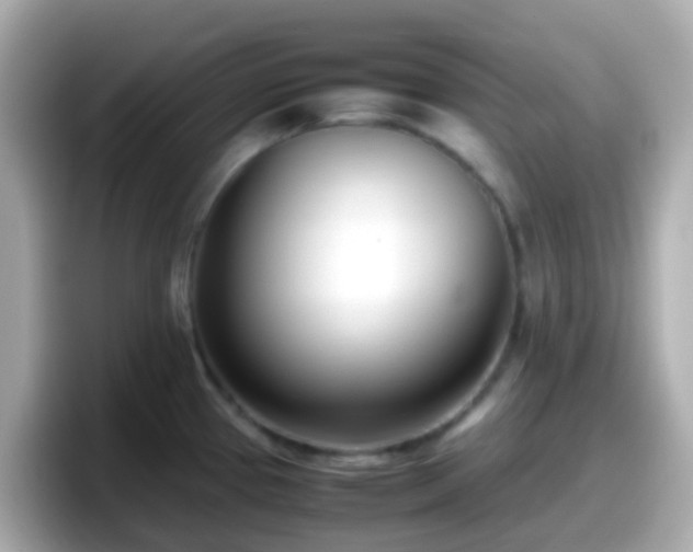 X0000098101337200804111015