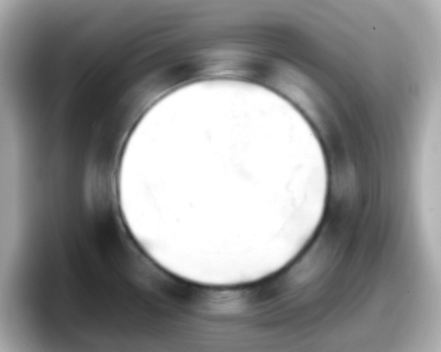 X0000098101338200804111015