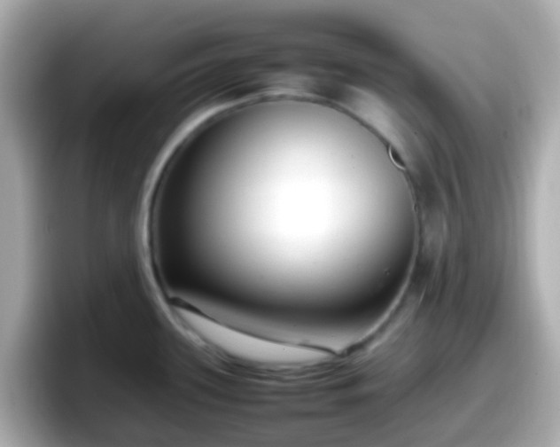 X0000098101339200804111015