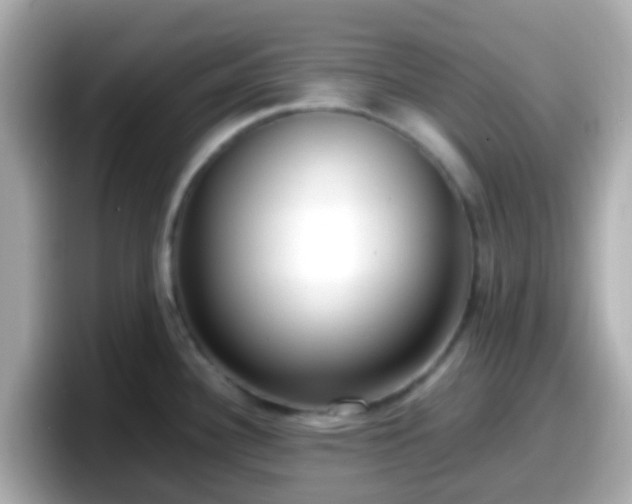 X0000098101340200804111015
