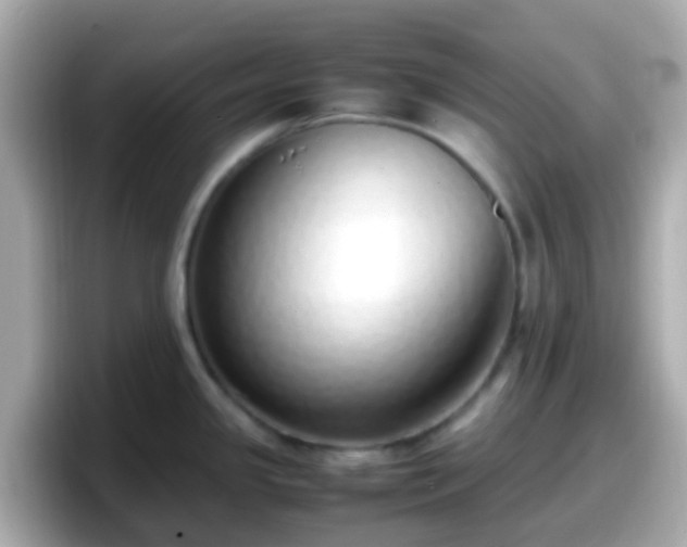 X0000098101341200804111015