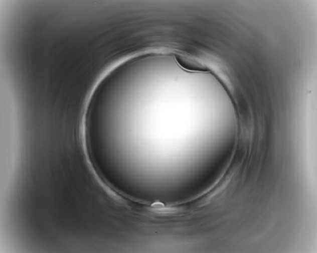X0000098101343200804111015
