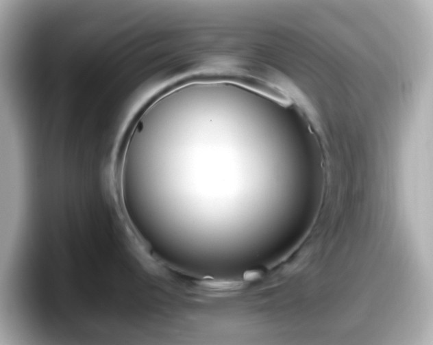 X0000098101344200804111015