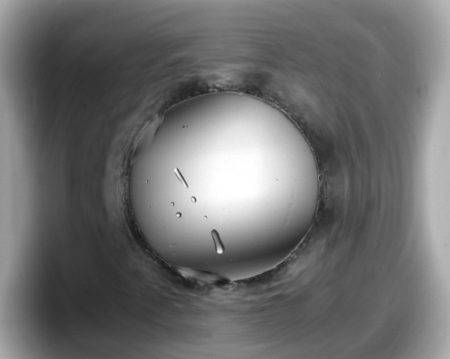 X0000098101345200804111014