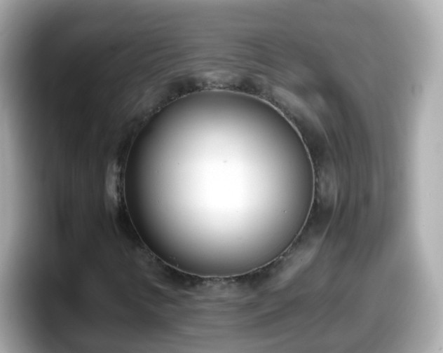 X0000098101346200804111014
