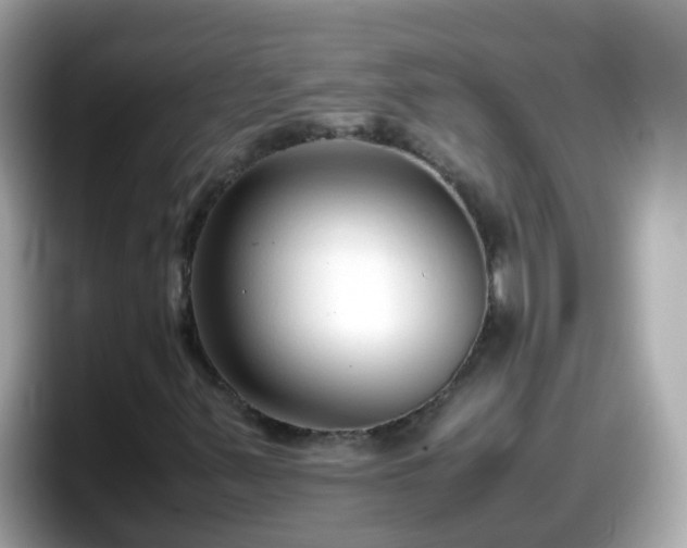 X0000098101347200804111014