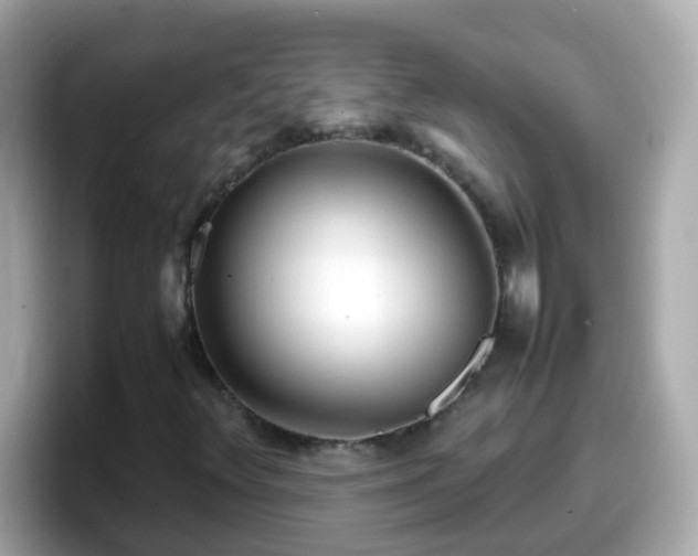 X0000098101348200804111014