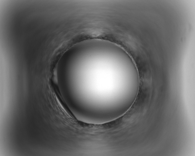 X0000098101349200804111014
