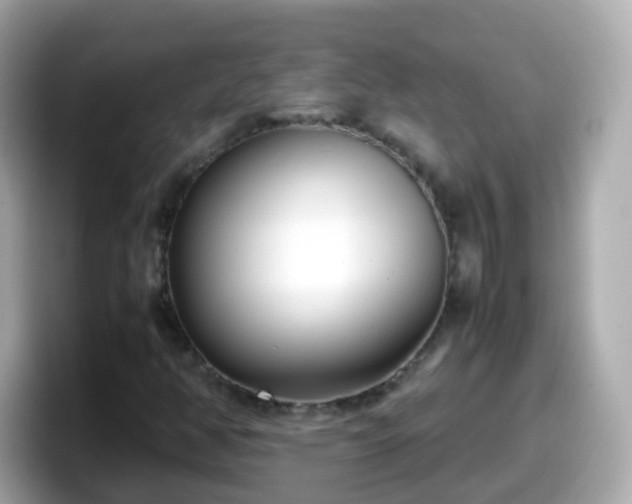 X0000098101350200804111014