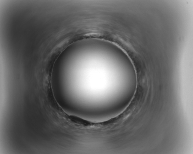 X0000098101351200804111014