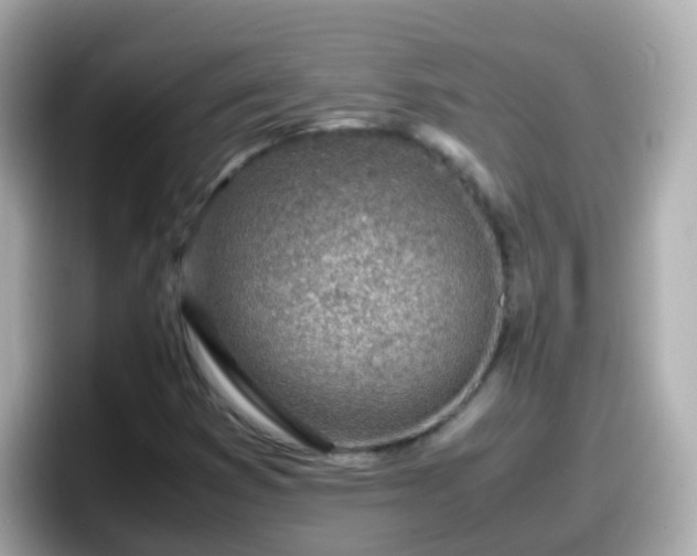 X0000098101353200804111014
