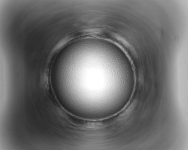 X0000098101354200804111014