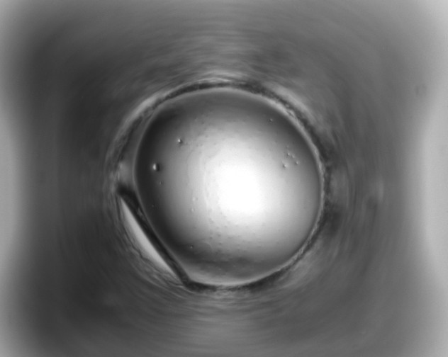 X0000098101355200804111014