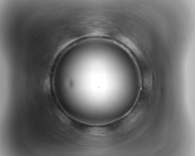X0000098101356200804111014