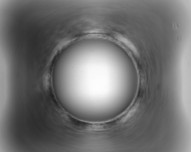 X0000098101357200804111014