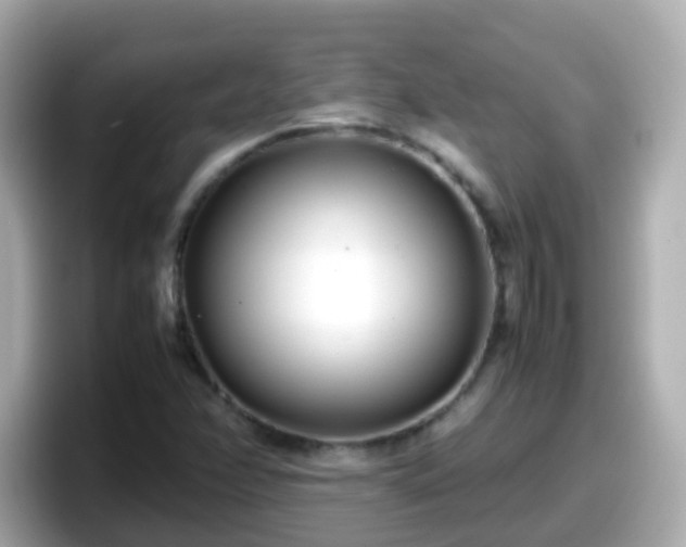 X0000098101358200804111014