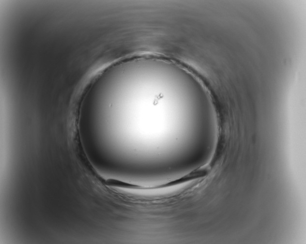 X0000098101359200804111014