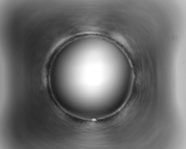 X0000098101360200804111014