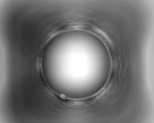 X0000098101361200804111014